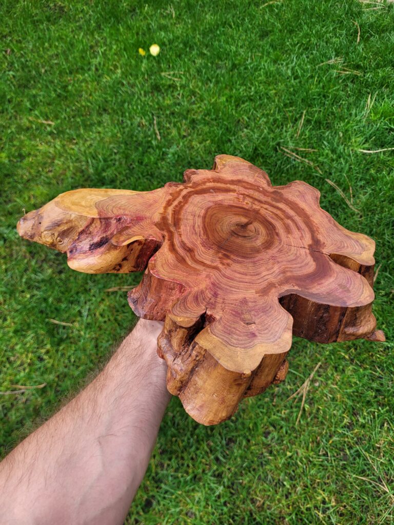 Podstavec třešeň liveedge (2/2)